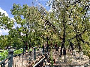 Kunming - Parc Cuihu - 54